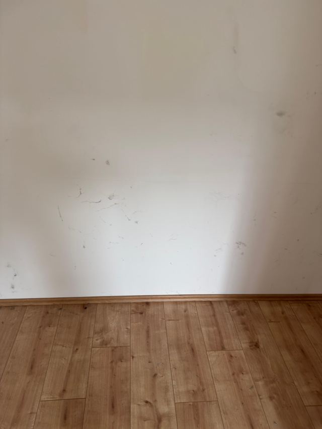 Ergebnis einer professionellen Gebäudereinigung – Aufnahme 24